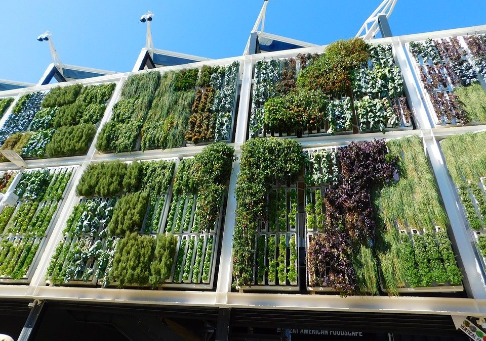 Somos una empresa especializada en jardines verticales artificiales