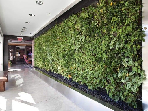 Duración Jardín Vertical Artificial – ¿Cuánto dura?