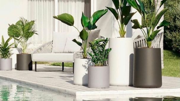 Las plantas artificiales más estilosas para tu casa
