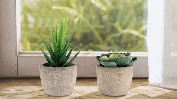 Las plantas artificiales más adecuadas para el otoño invierno
