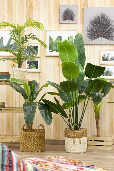Ventajas de decorar con Plantas Artificiales