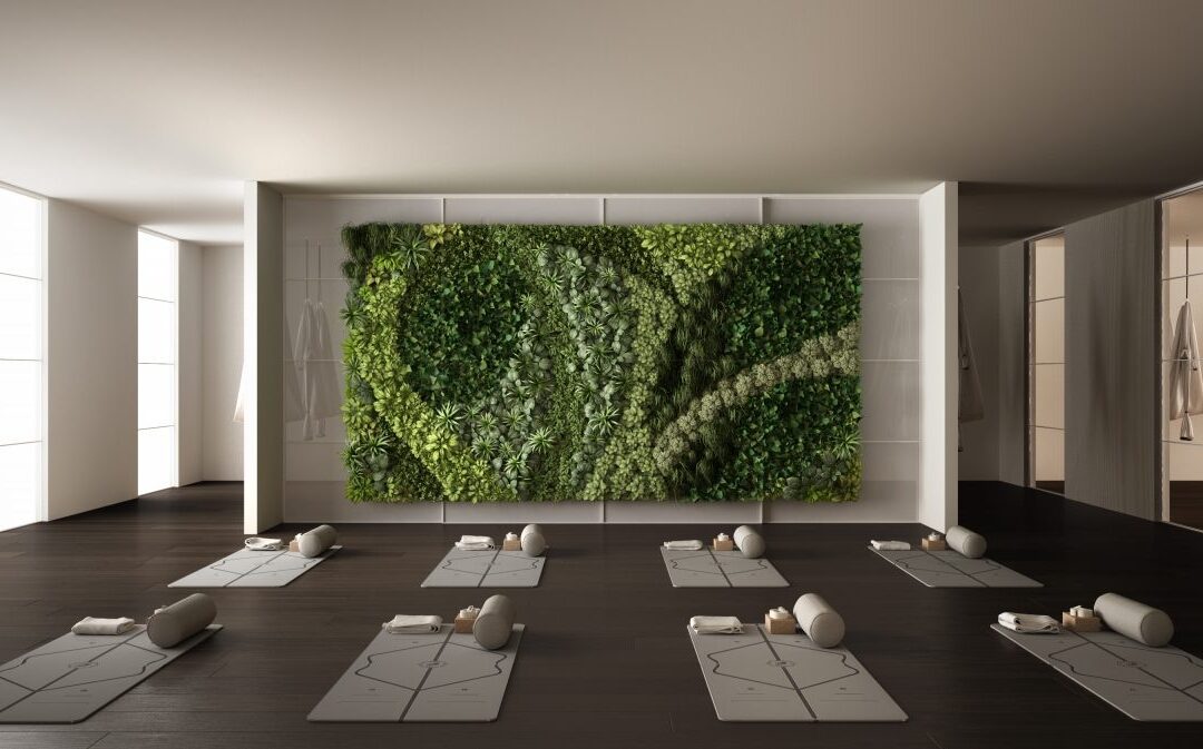¿Por qué necesitas decorar tu negocio con plantas artificiales?