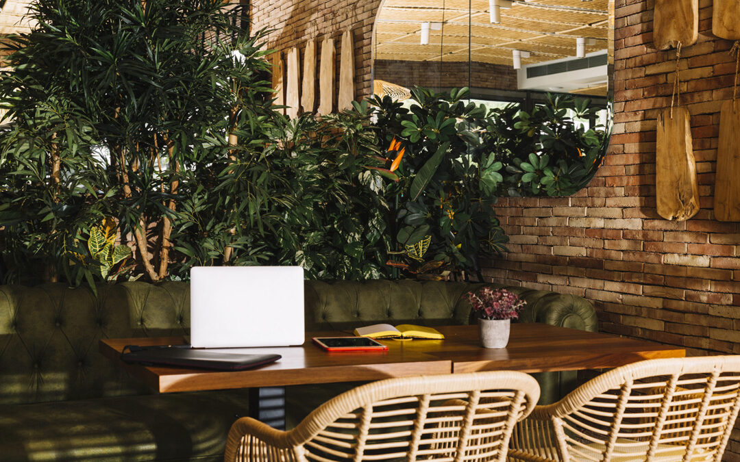 ¿Cómo elegir las mejores plantas y jardines verticales artificiales para tu oficina?
