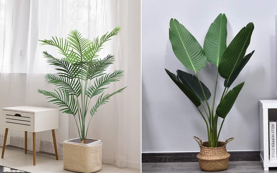 Plantas Artificiales vs Plantas Naturales