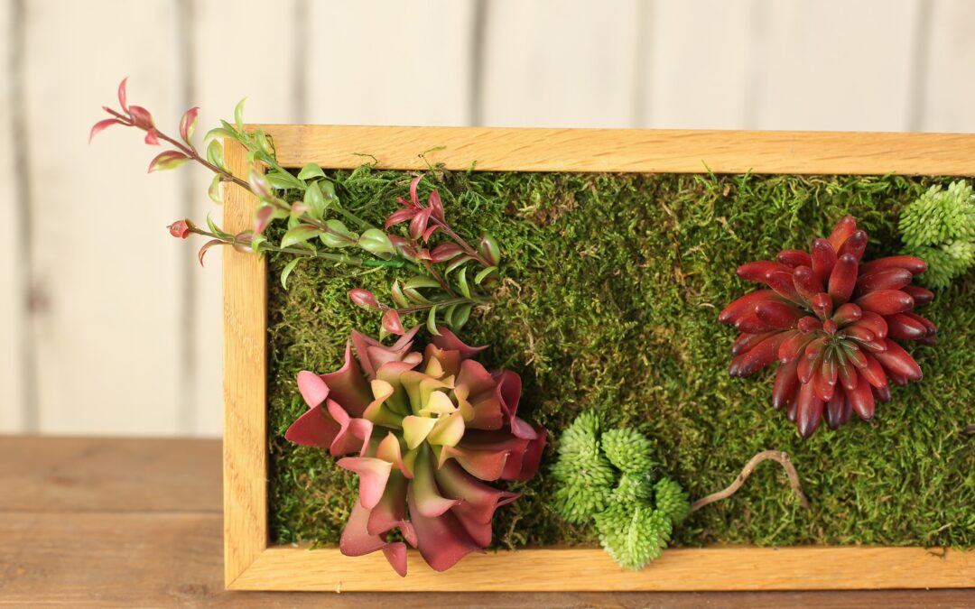 plantas artificiales en cuadros