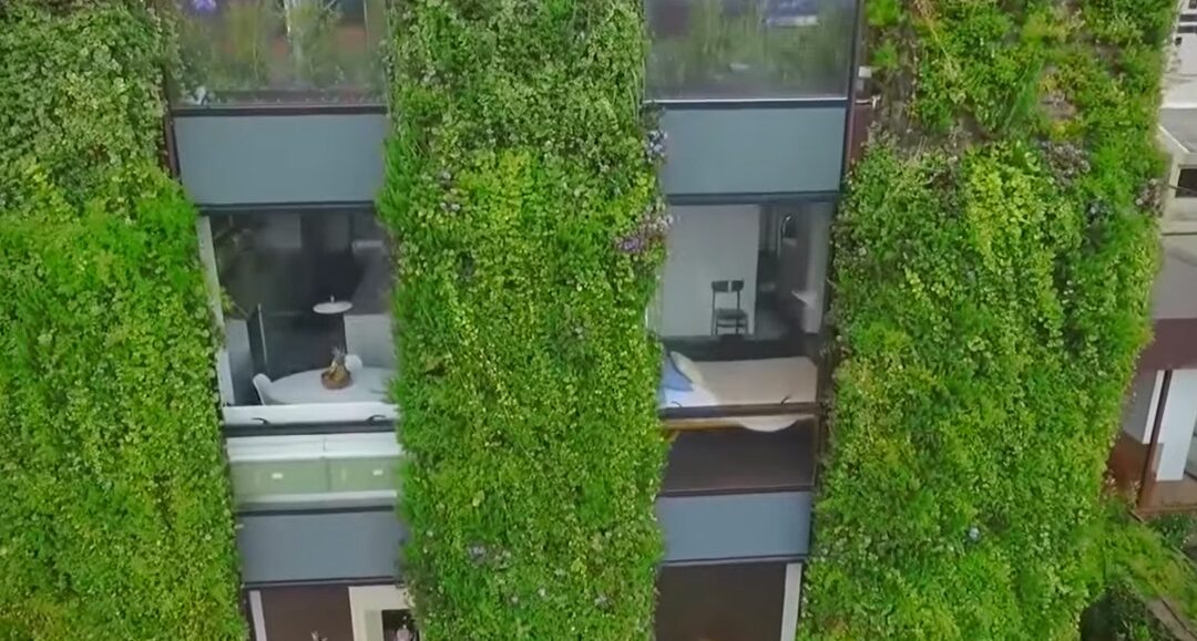 plantas artificiales
