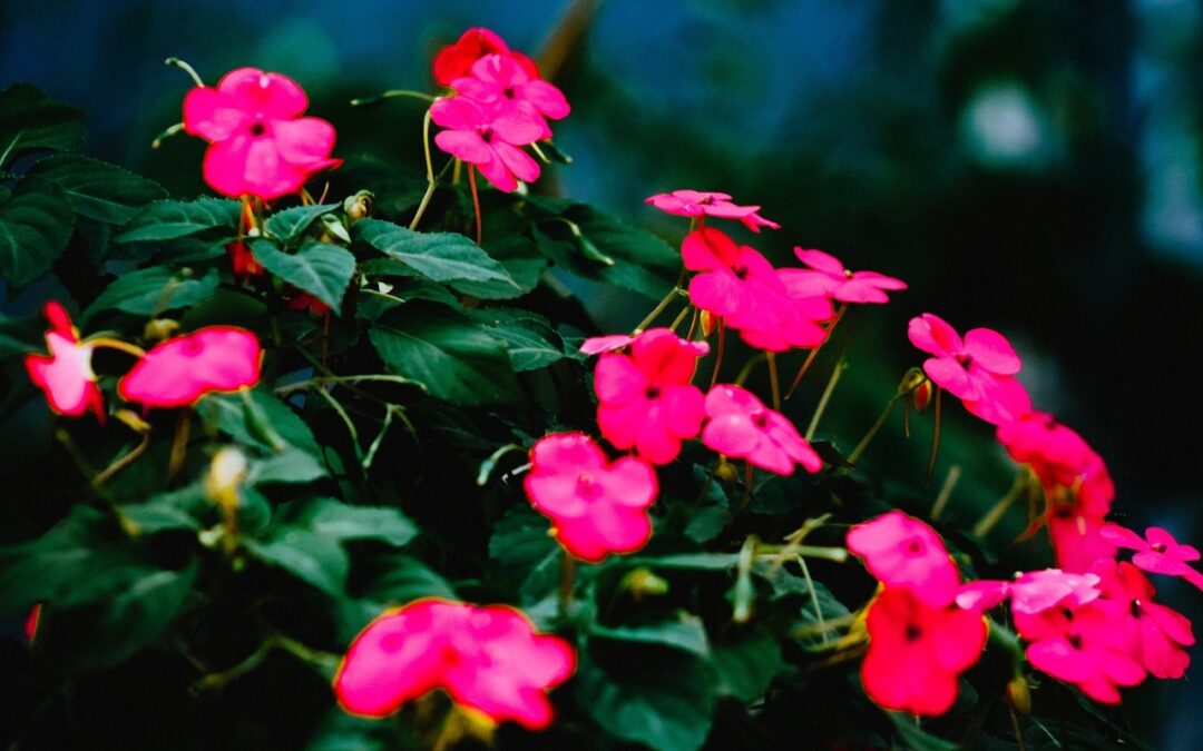Plantas artificiales: ¿Son seguras?