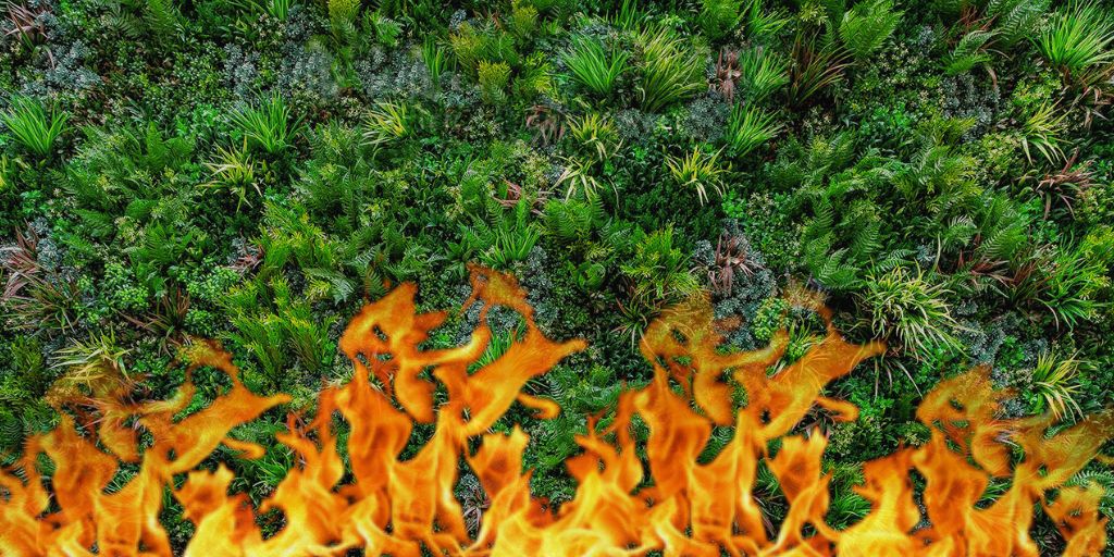 Jardines verticales artificiales ignífugos vs retardantes de fuego