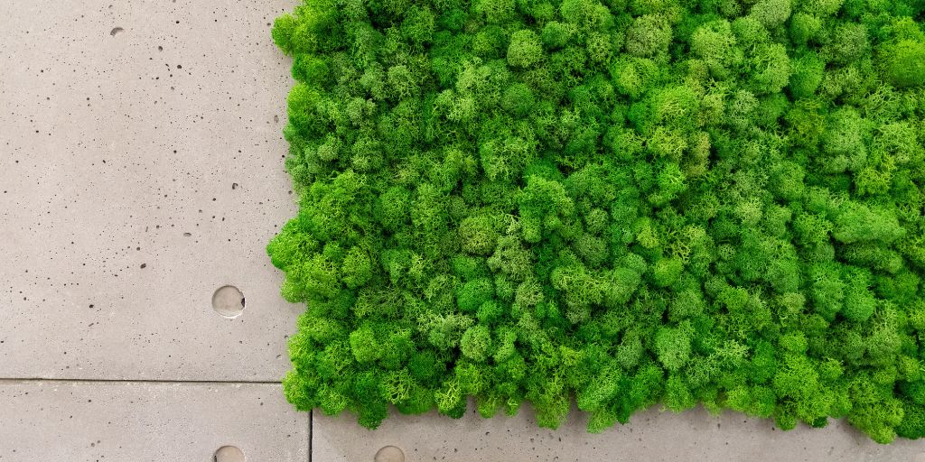 Musgo artificial: Decoración duradera y sostenible
